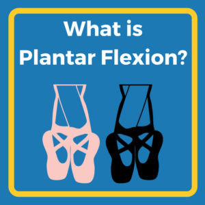 What is Plantar Flexion